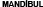 EPSText