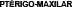 EPSText