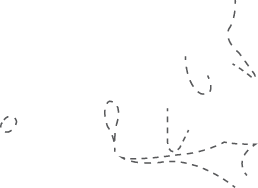 Polygon