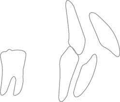 Polygon